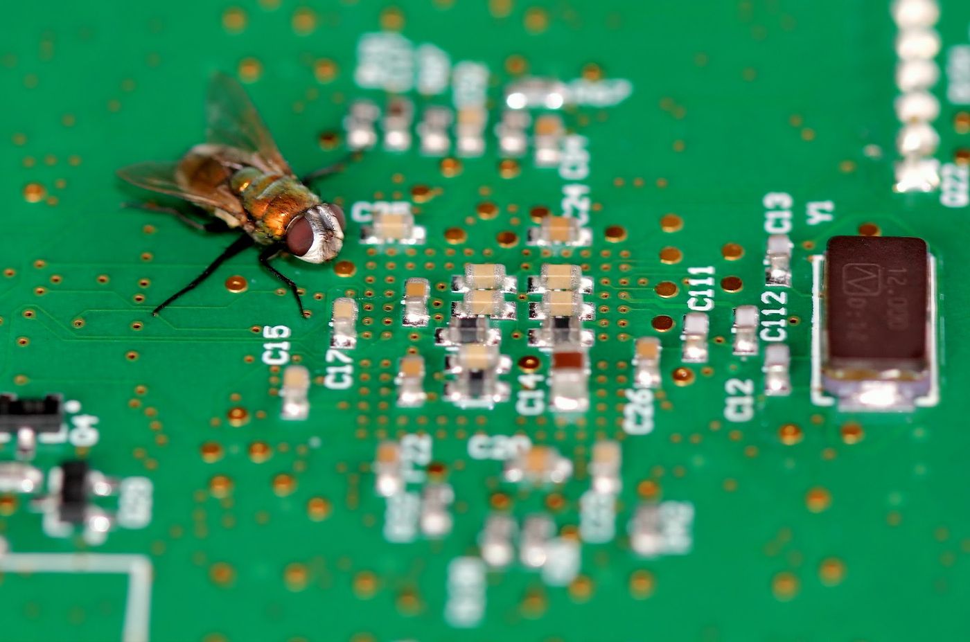 A fly resting on a circuit board